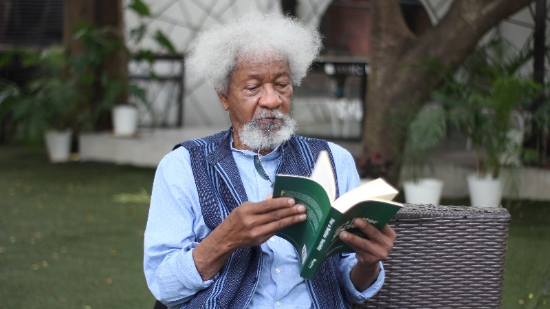 Wole Soyinka Theatre Fosters New Talent in Nigeria and Beyond