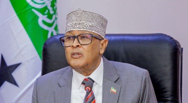 Somaliland leader freezes internet price hike amid planned protests