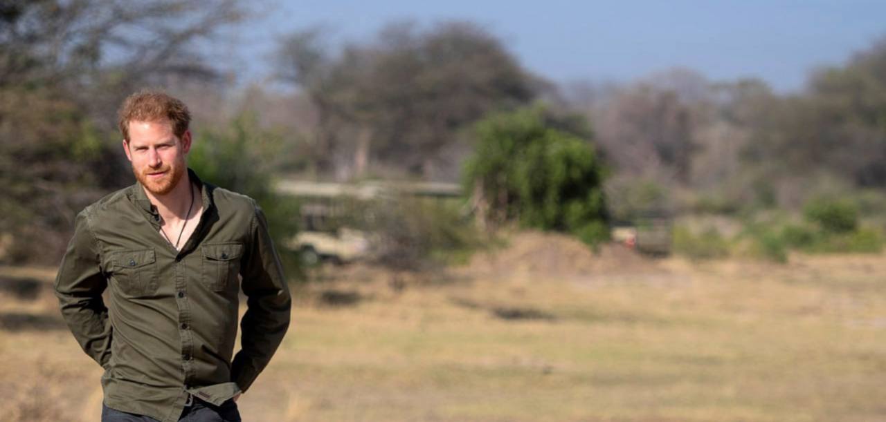 🇹🇩 Chad Ends Partnership With Wildlife Protection Association Linked to Prince Harry
